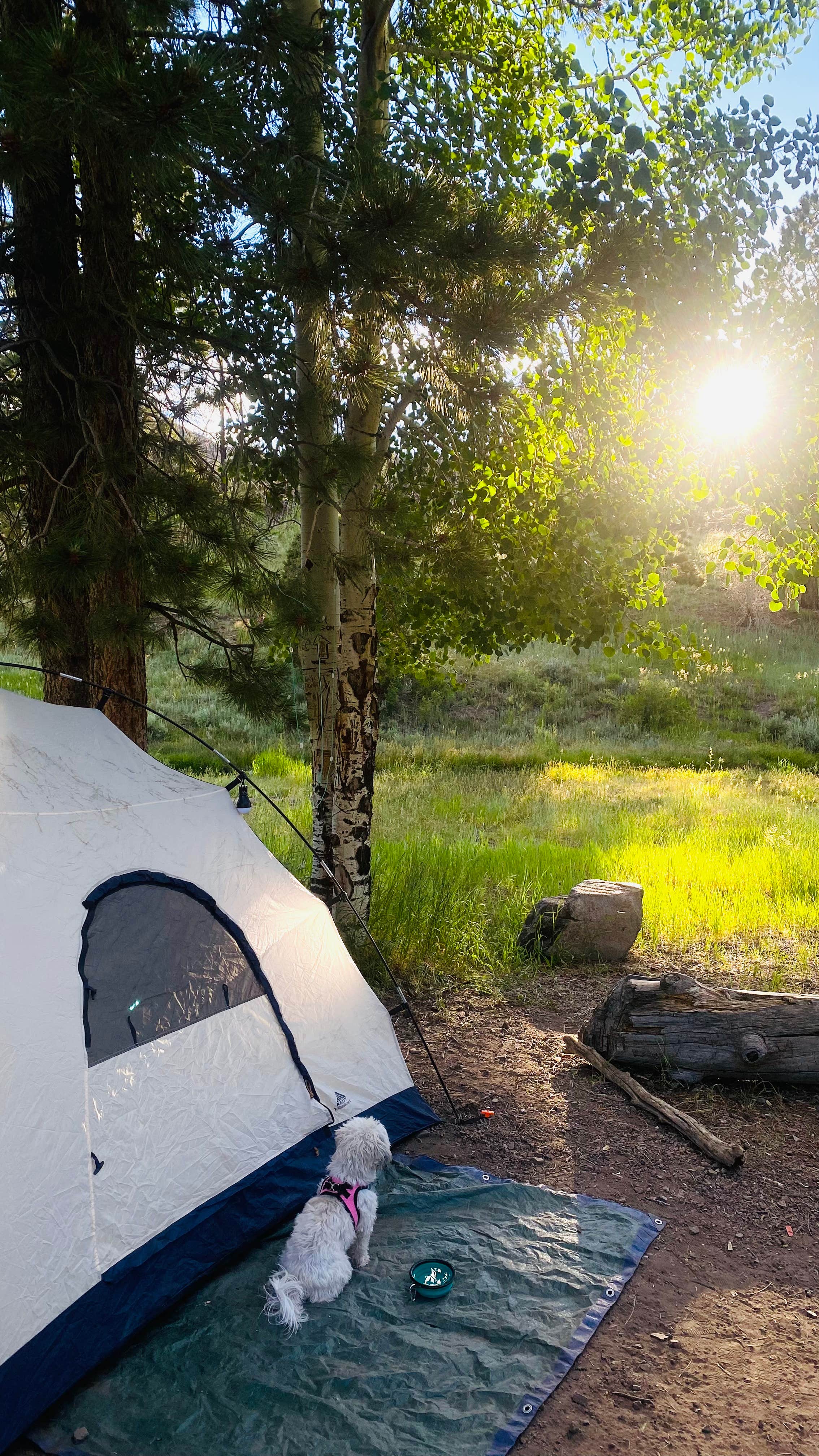 Camper-submitted photo at Yankee Meadows near Parowan, UT