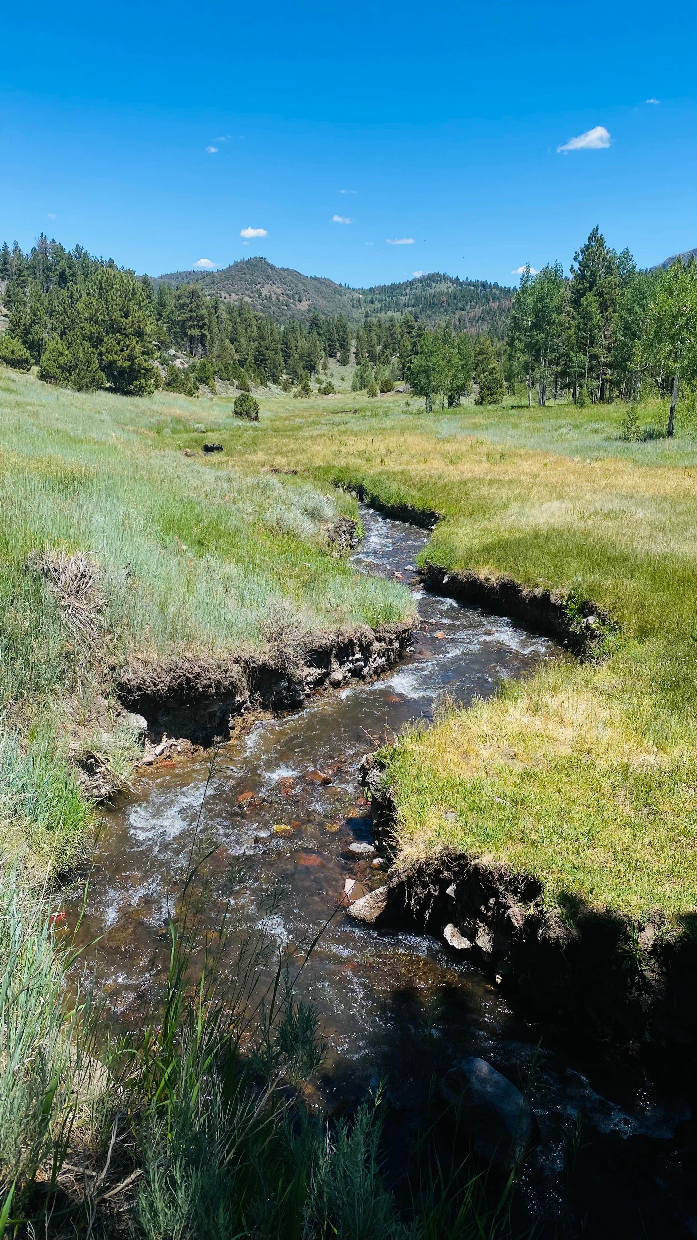 Camper-submitted photo at Yankee Meadows near Parowan, UT