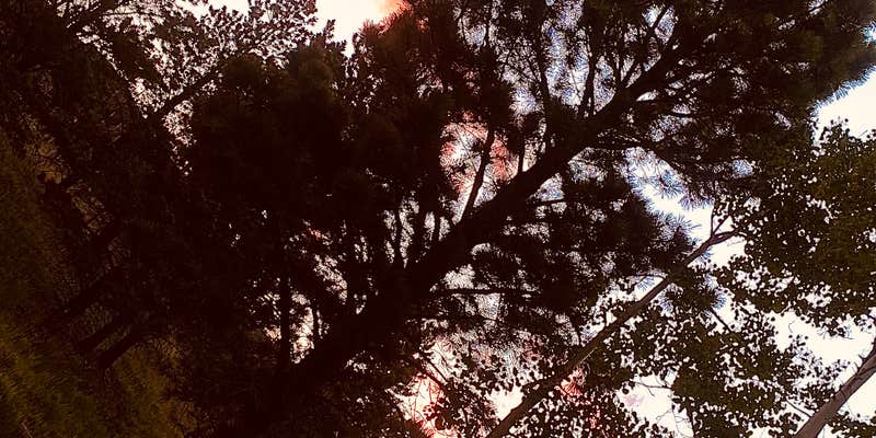 Camper submitted image from Yankee Meadows