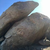 Review photo of Culp Valley Primitive Campground — Anza-Borrego Desert State Park by Jen D., October 23, 2018