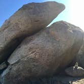 Review photo of Culp Valley Primitive Campground — Anza-Borrego Desert State Park by Jen D., October 23, 2018