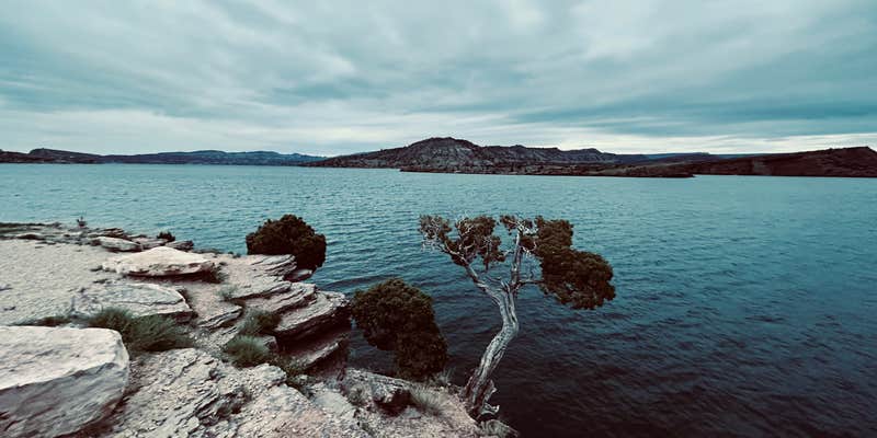 Camper submitted image from Oakie Beach Campground