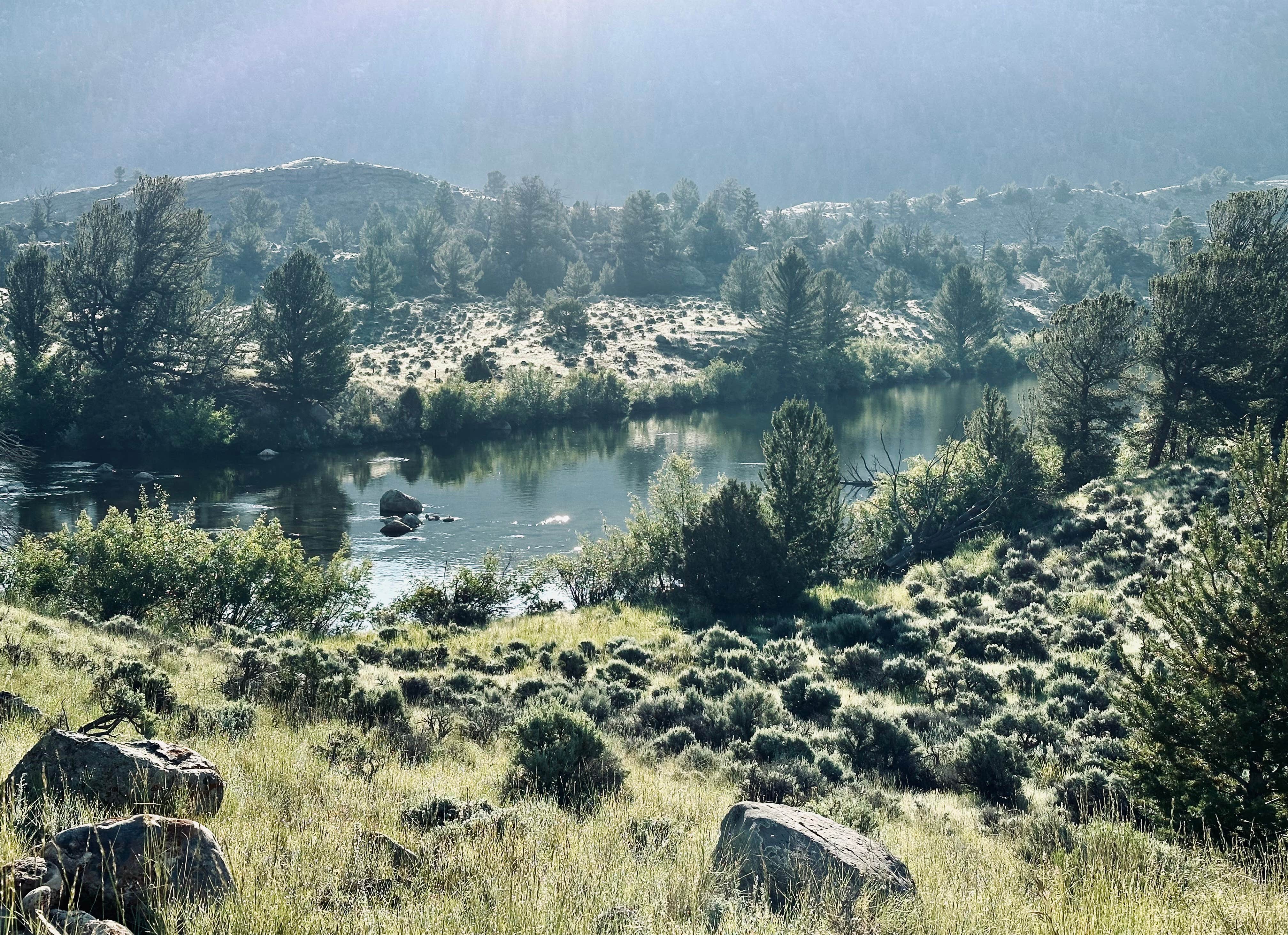 Camper-submitted photo at Ring Lake RV and Tent Site near Dubois, WY