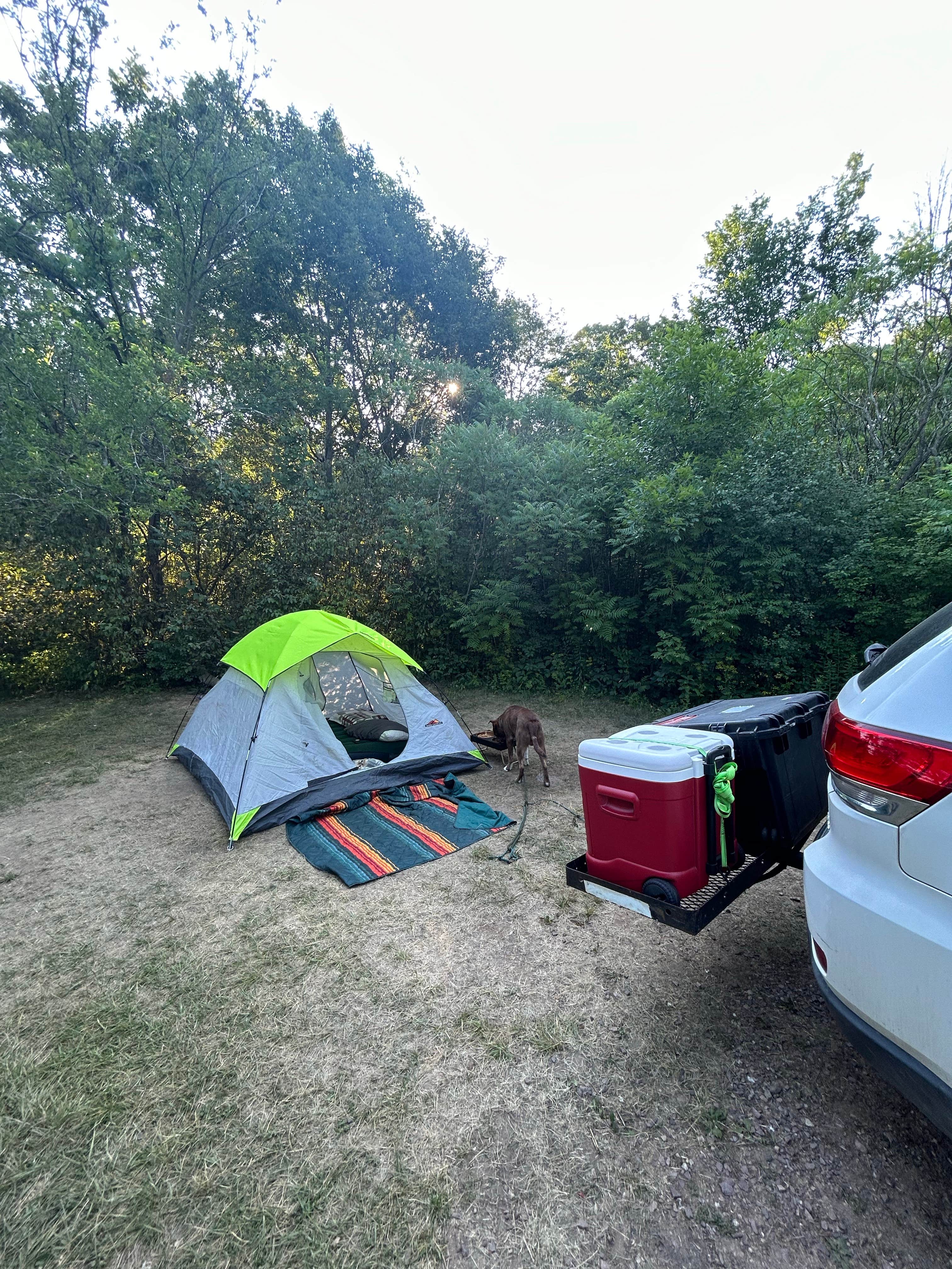Makayla B.'s photo of camping with pets at Ice Age Campground — Devils Lake State Park in Wisconsin