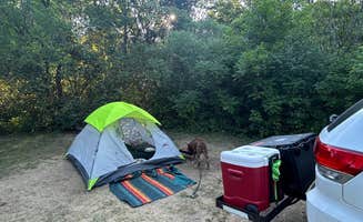 Makayla B.'s photo of camping with pets at Ice Age Campground — Devils Lake State Park near Baraboo, WI