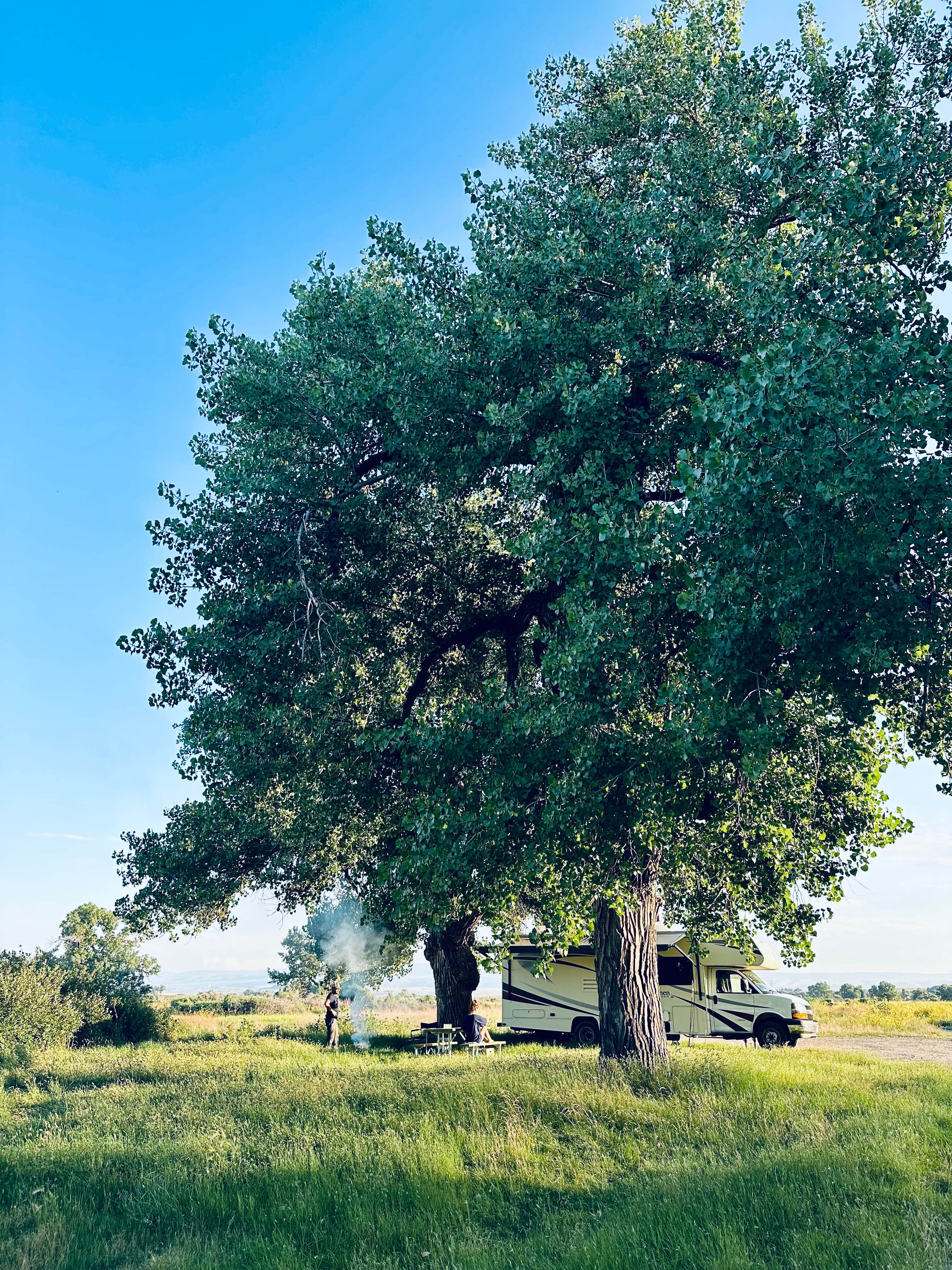 Camping near Grapevine Campground: Bighorn Fishing Access Site, Fort Smith, Montana