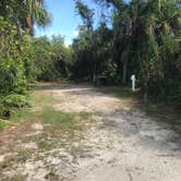 Review photo of Koreshan State Park Campground by Dave V., September 9, 2016