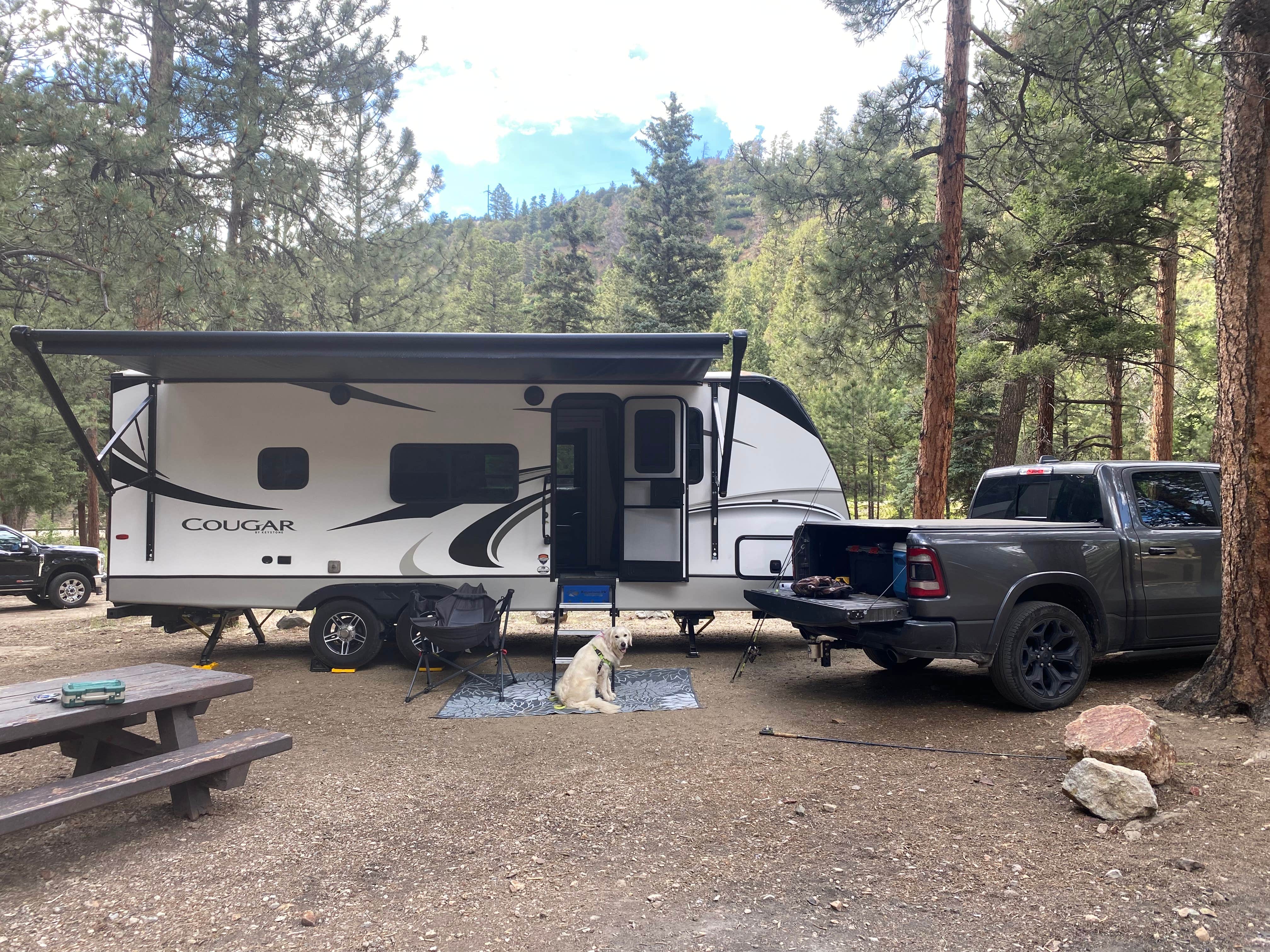 Tammy C.'s photo of camping with pets at Fawn Lakes Campground near Cimarron, NM