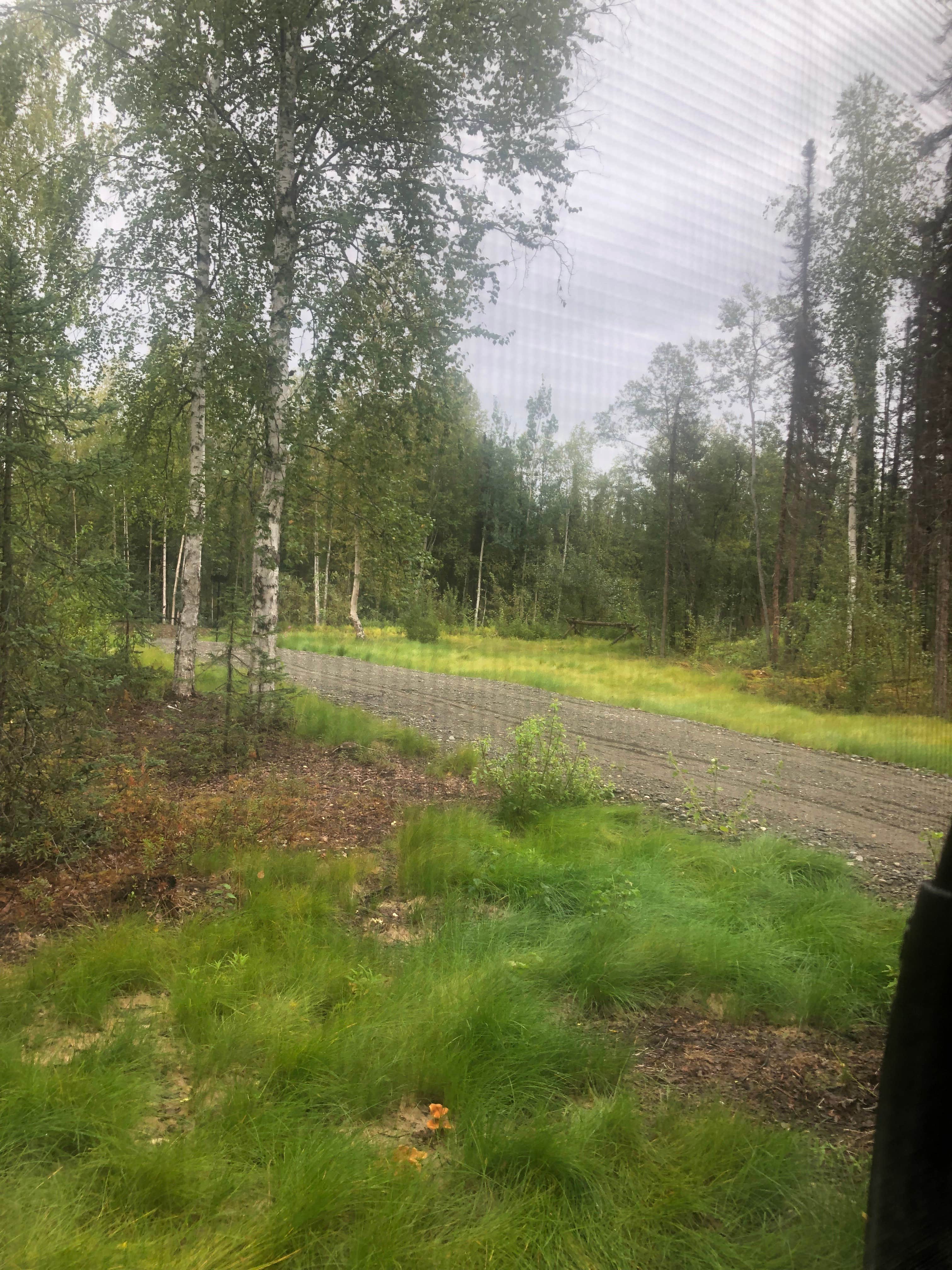 Camper-submitted photo at Adventure Lodge at Caswell Lake near Talkeetna, AK