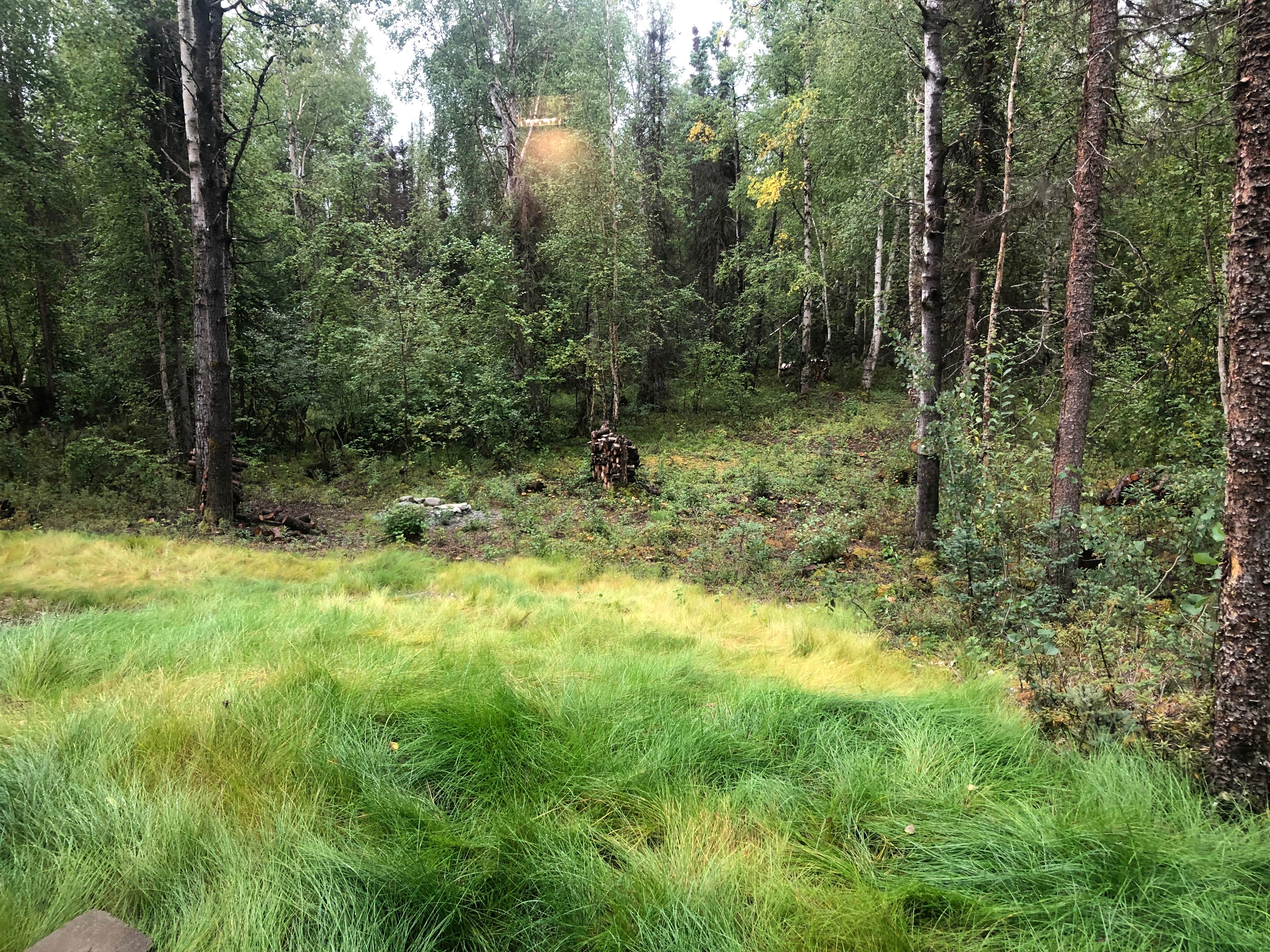 Camper-submitted photo at Adventure Lodge at Caswell Lake near Talkeetna, AK