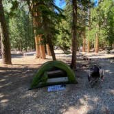 Review photo of Plumas-Eureka State Park Campground by Ross H., July 14, 2023