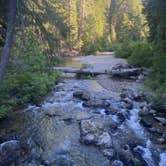 Review photo of Upper Jamison Creek Campground — Plumas-Eureka State Park by Ross H., July 14, 2023