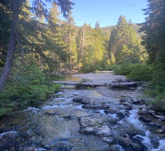 Camper-submitted photo from Plumas-Eureka State Park Campground