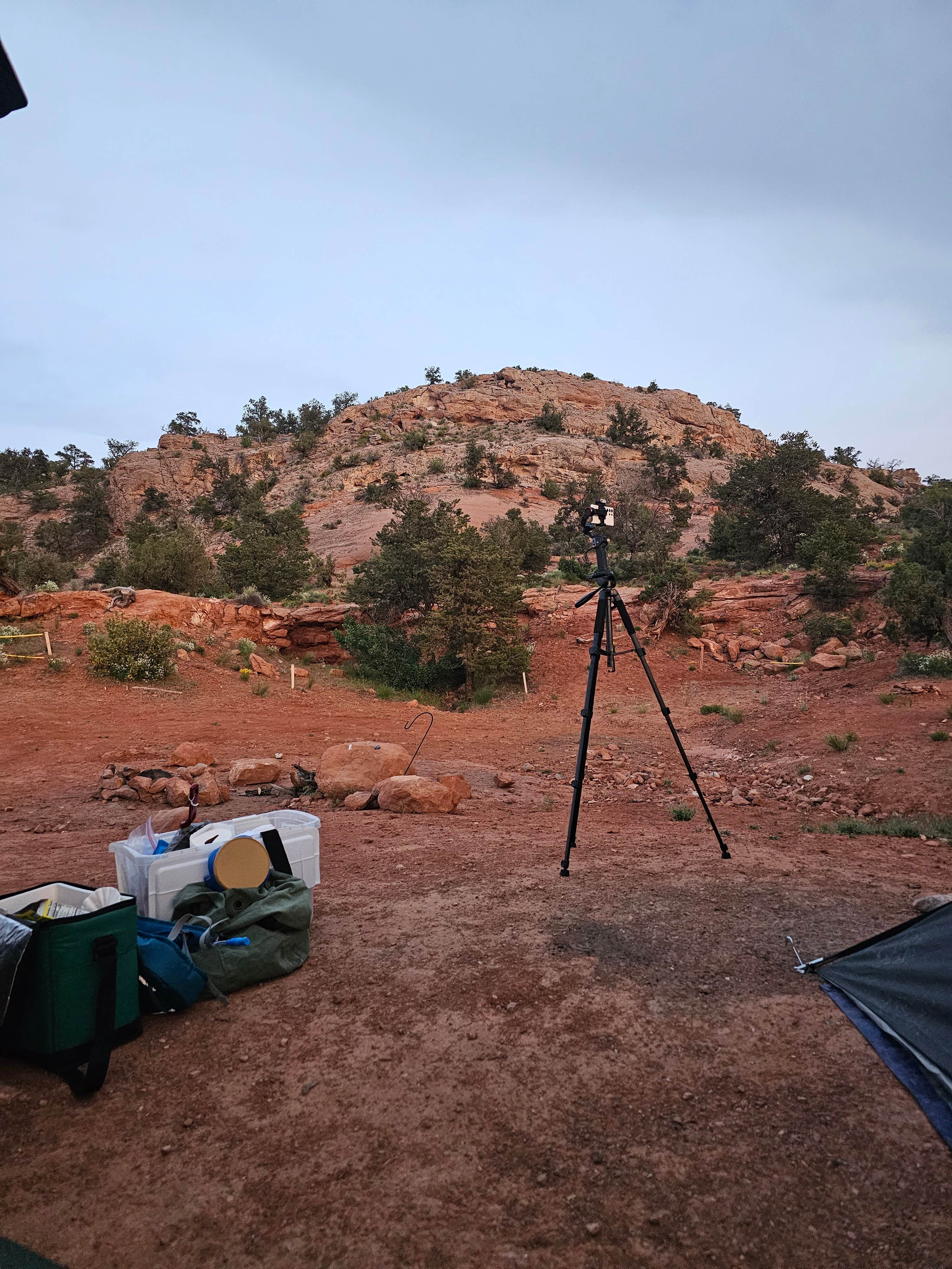 Seeya0958's photo of tent camping at Behind the Rocks Road Dispersed near Monticello, UT