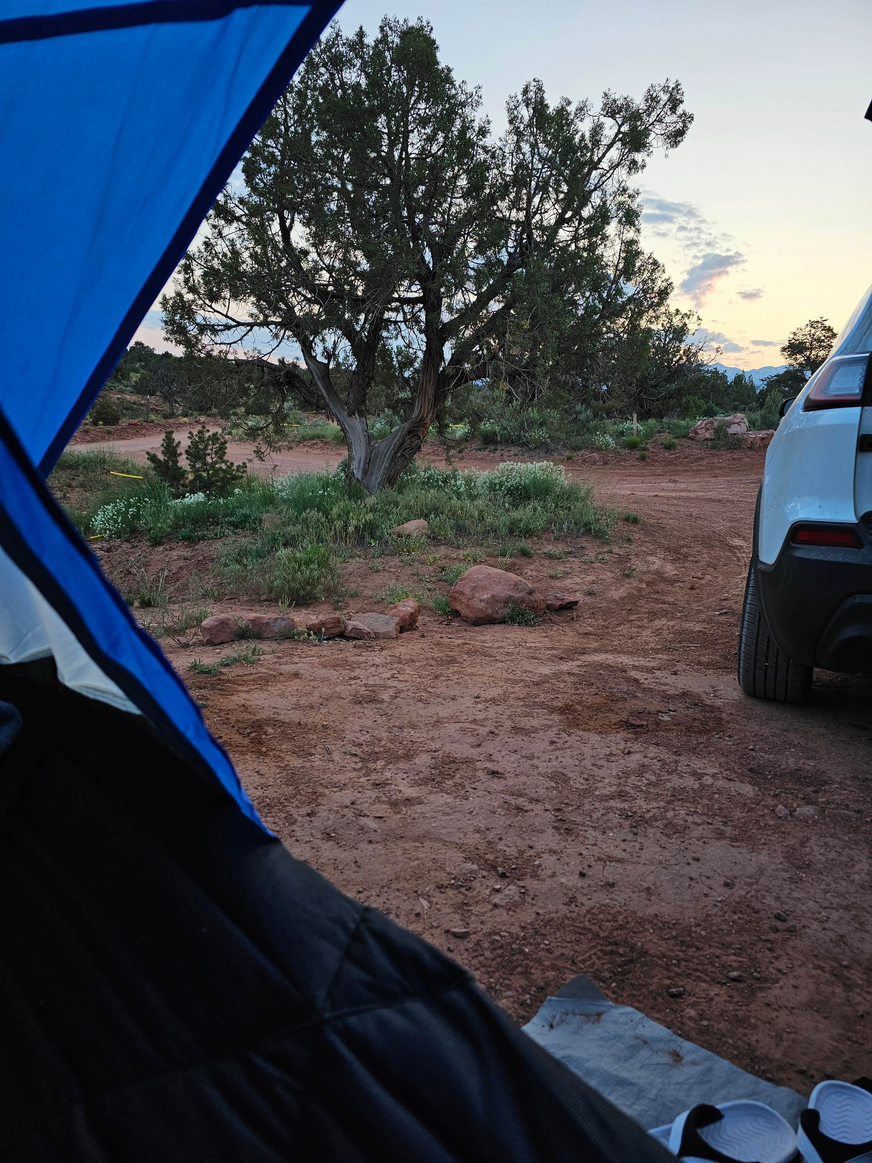 Camper-submitted photo at Behind the Rocks Road Dispersed near Castle Valley, UT