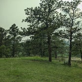 Review photo of Picnic Spring Campground by Kim H., July 14, 2023