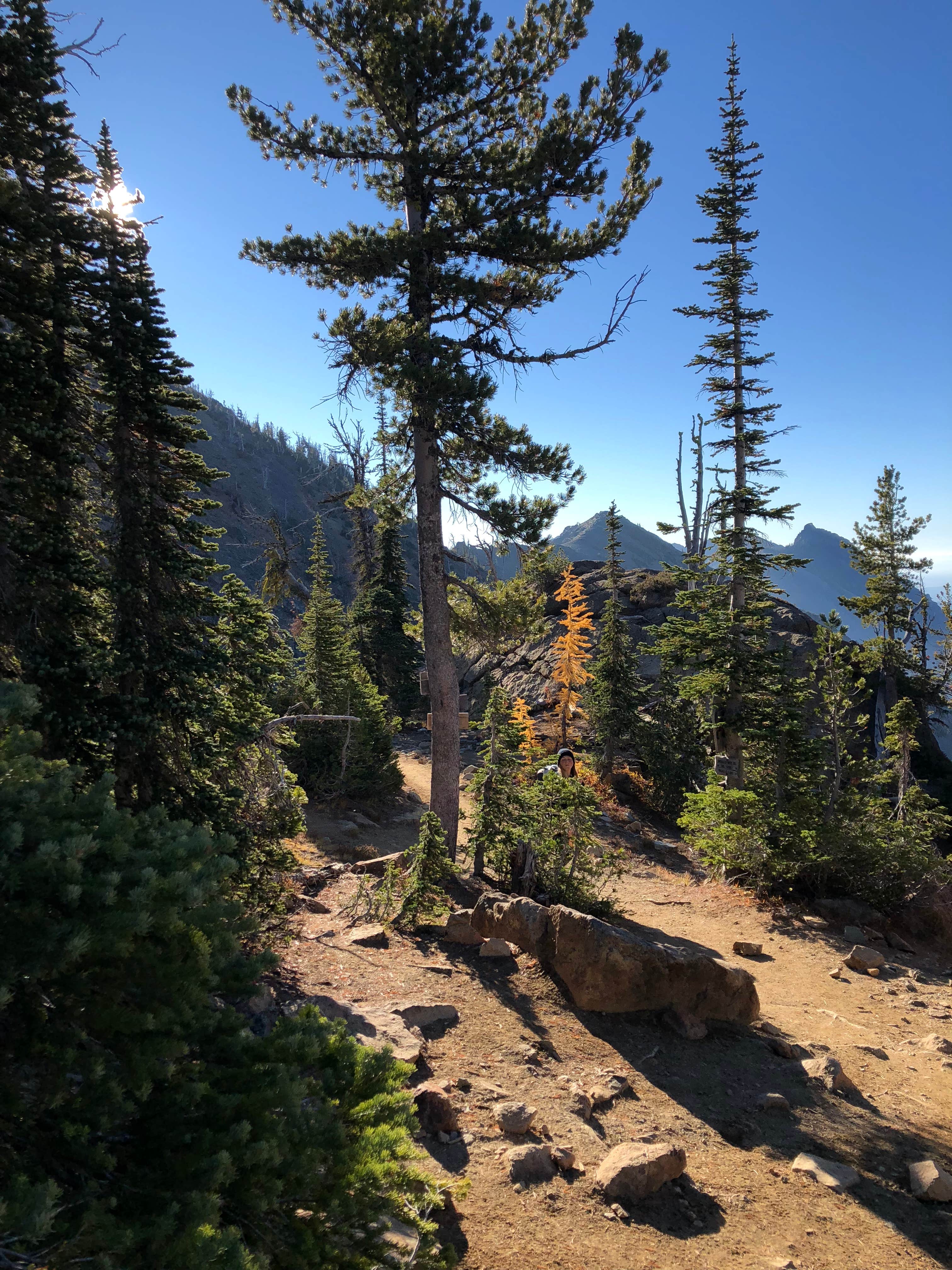 Camper submitted image from Teanaway Campground - 2