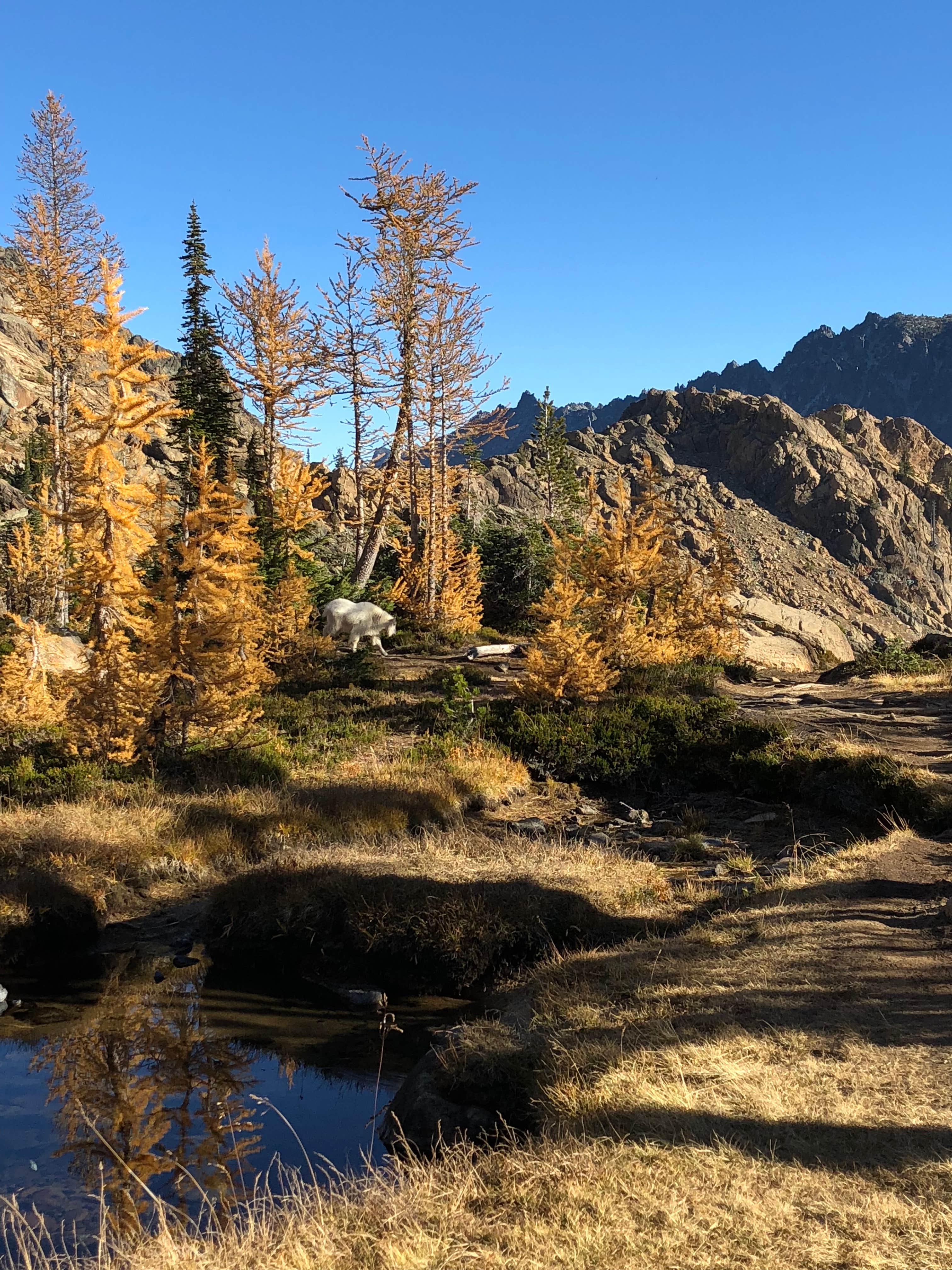 Camper-submitted photo at Teanaway Campground near Cle Elum, WA