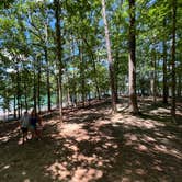 Review photo of Shady Grove Campground by Doug S., July 15, 2023