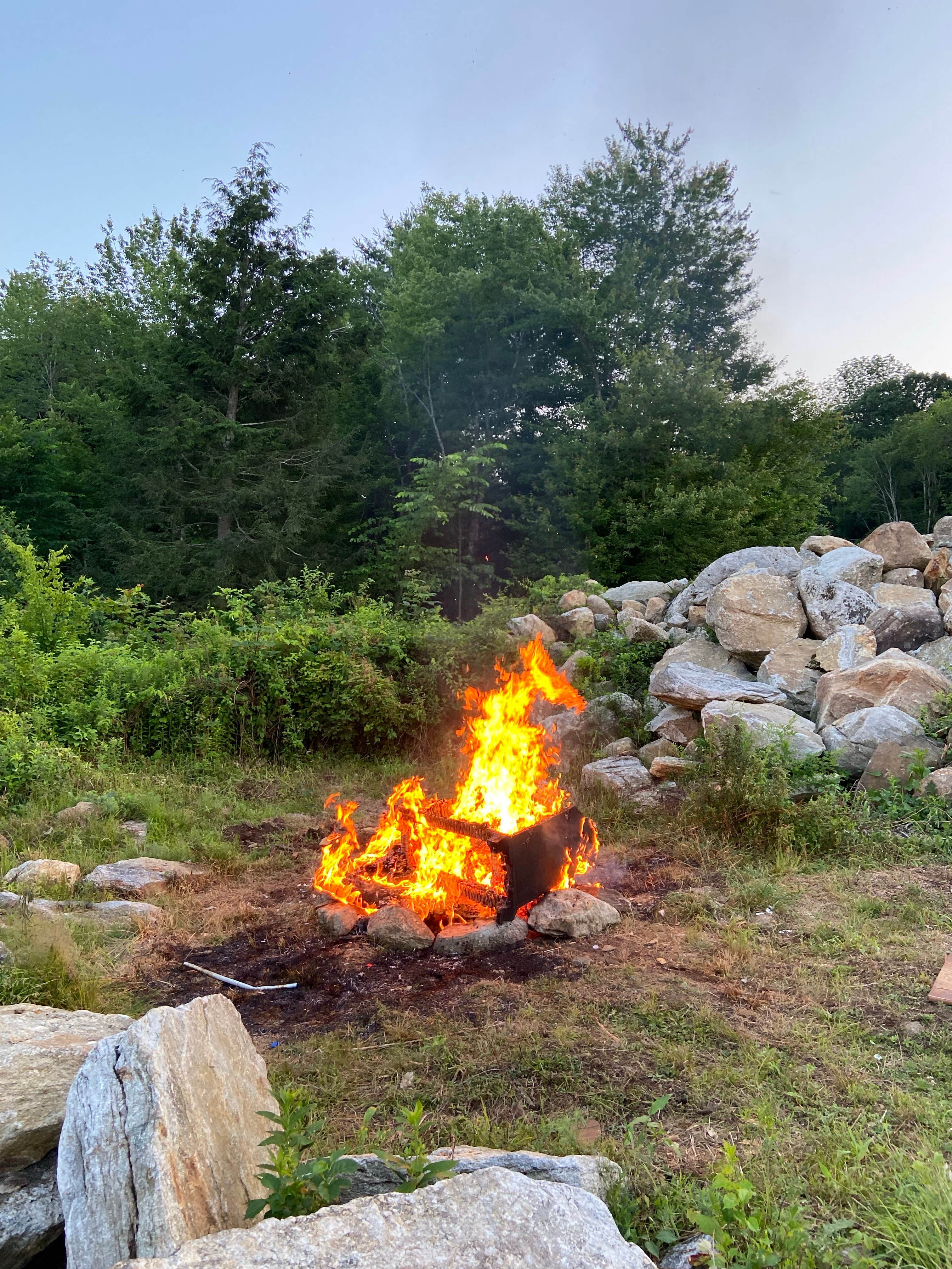 Camper submitted image from Starlit Camping - 3