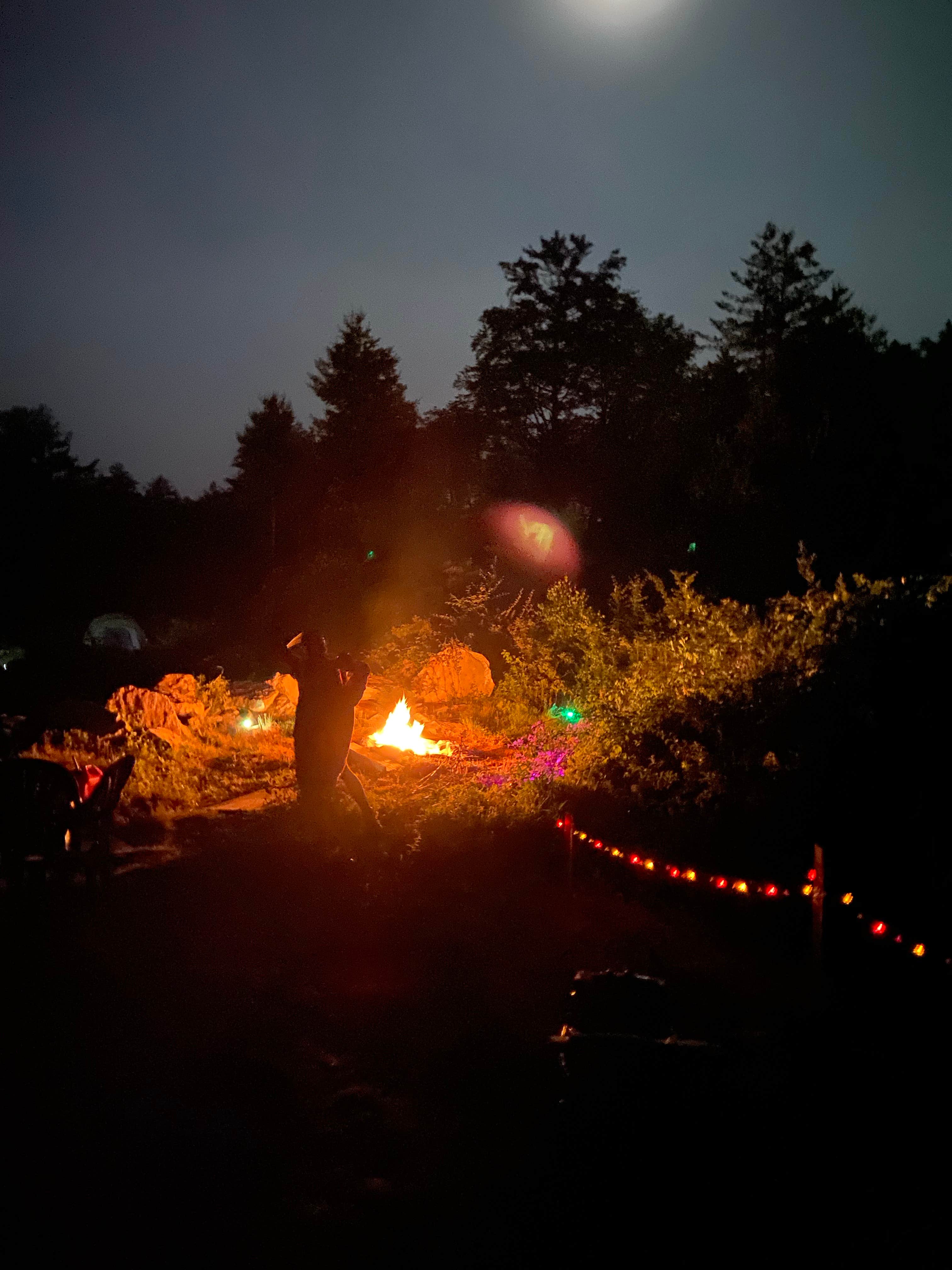 Camper submitted image from Starlit Camping - 2