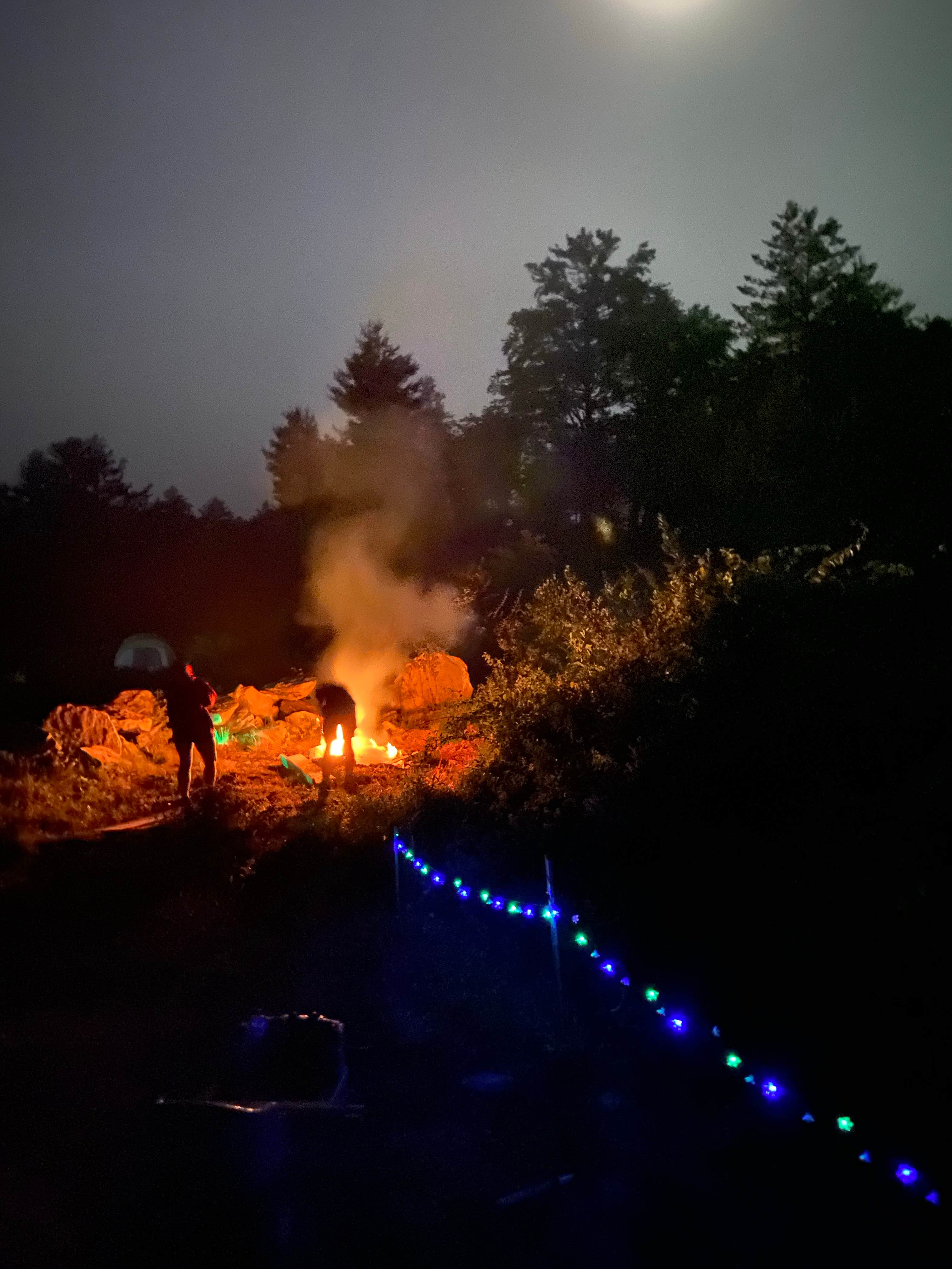 Camper submitted image from Starlit Camping - 1