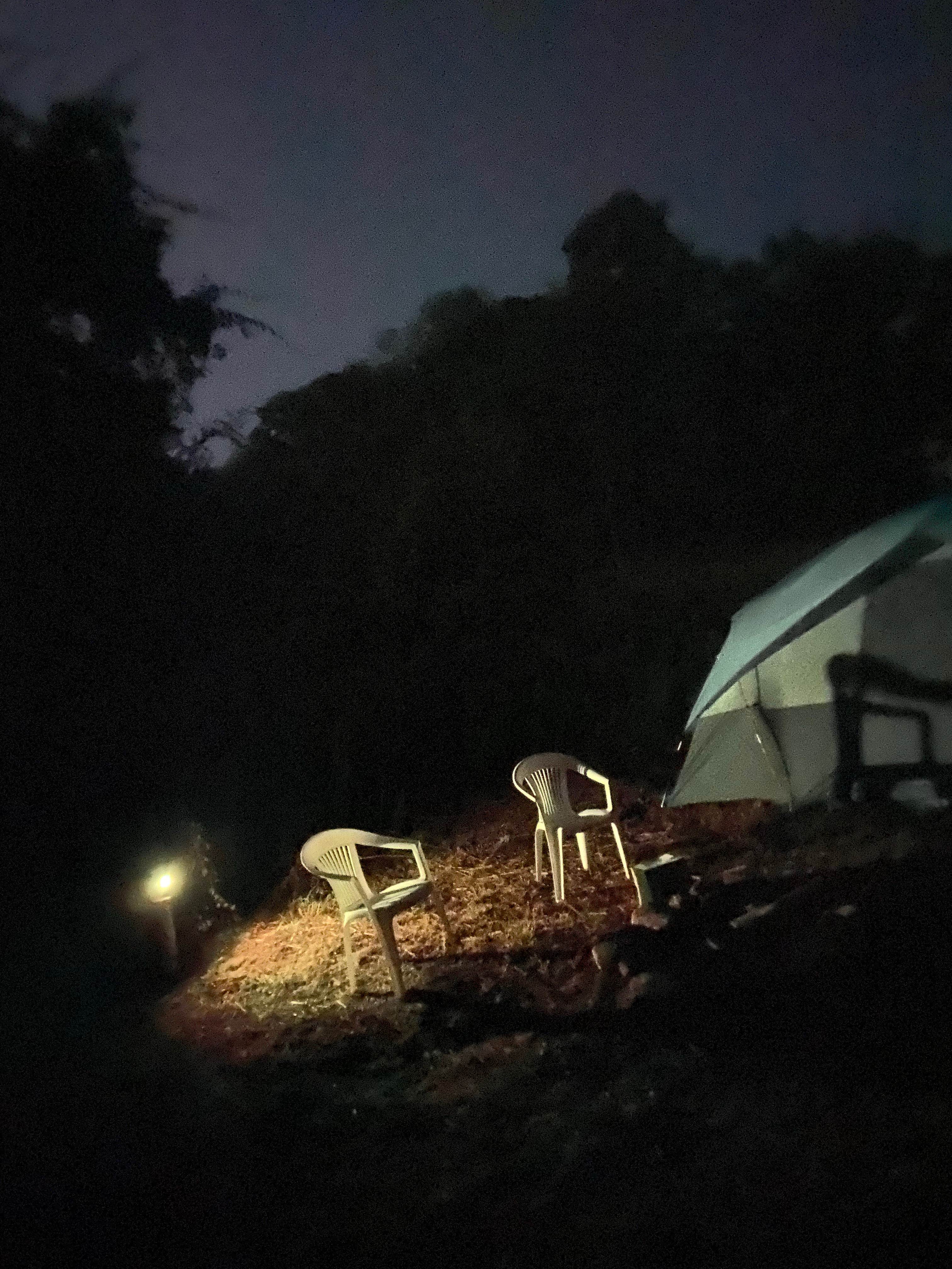 Camper submitted image from Starlit Camping - 4