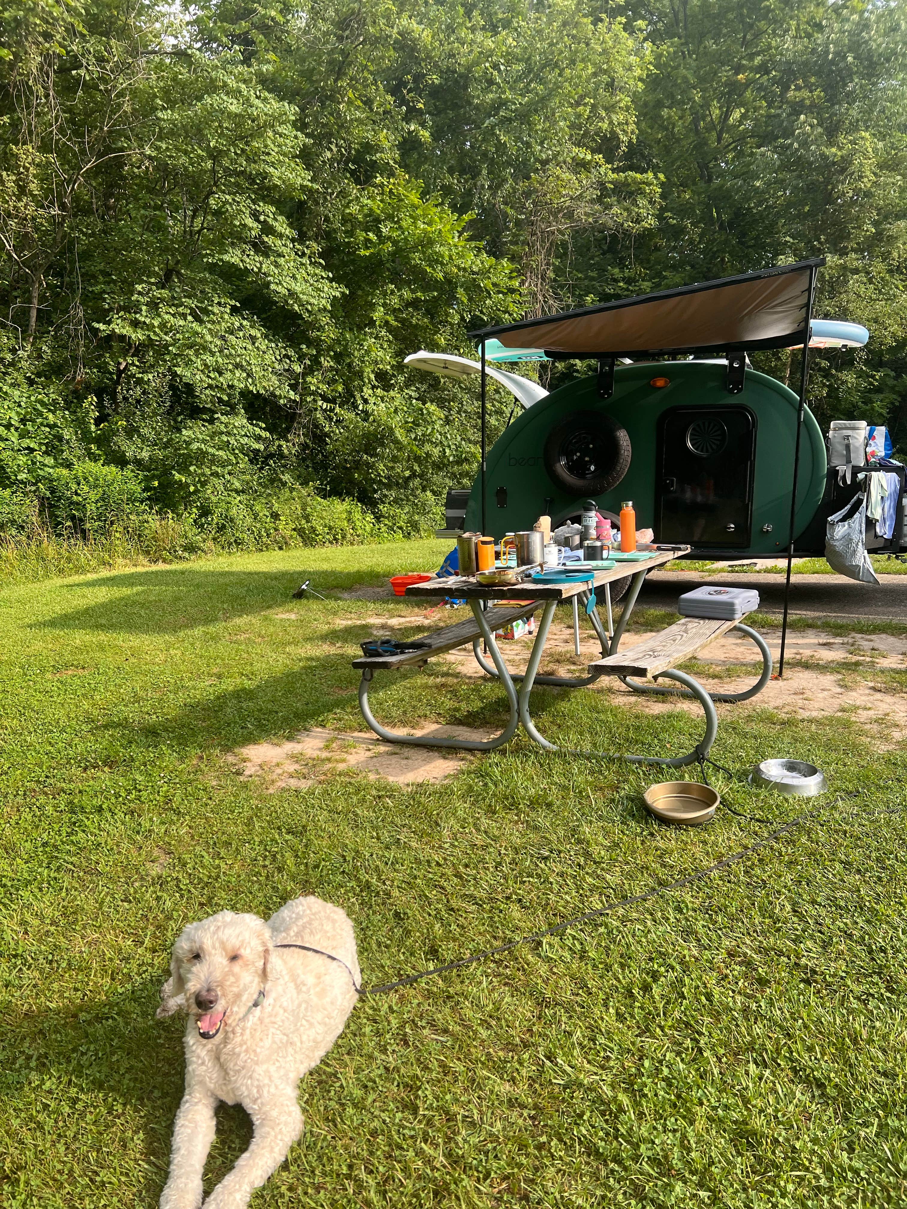 Kat  G.'s photo of camping with pets at Caesar Creek State Park Campground near Mount Sterling, OH