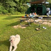 Review photo of Caesar Creek State Park Campground by Kat  G., July 15, 2023