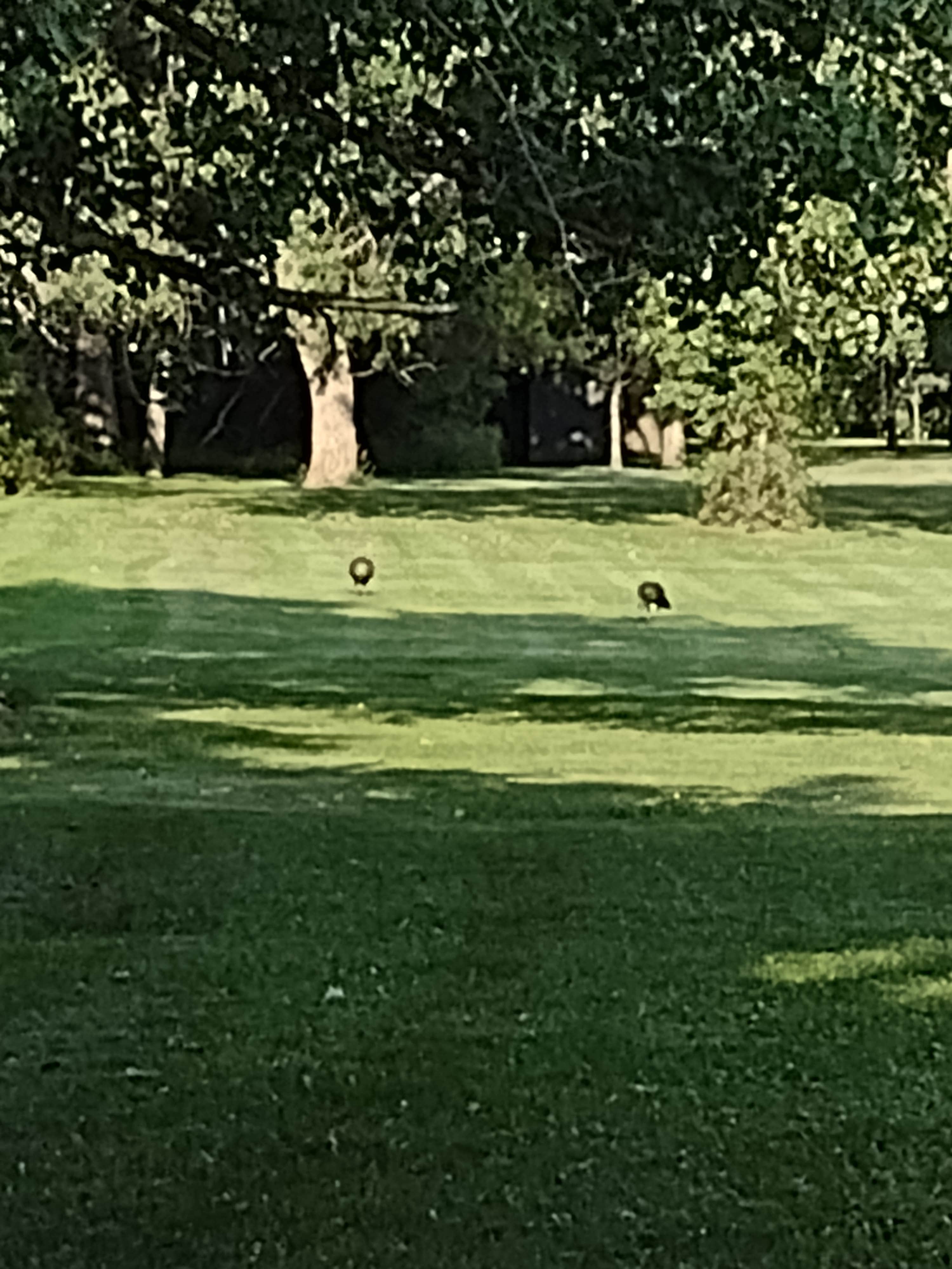 Camper submitted image from Fort Sisseton State Park Campground - 2