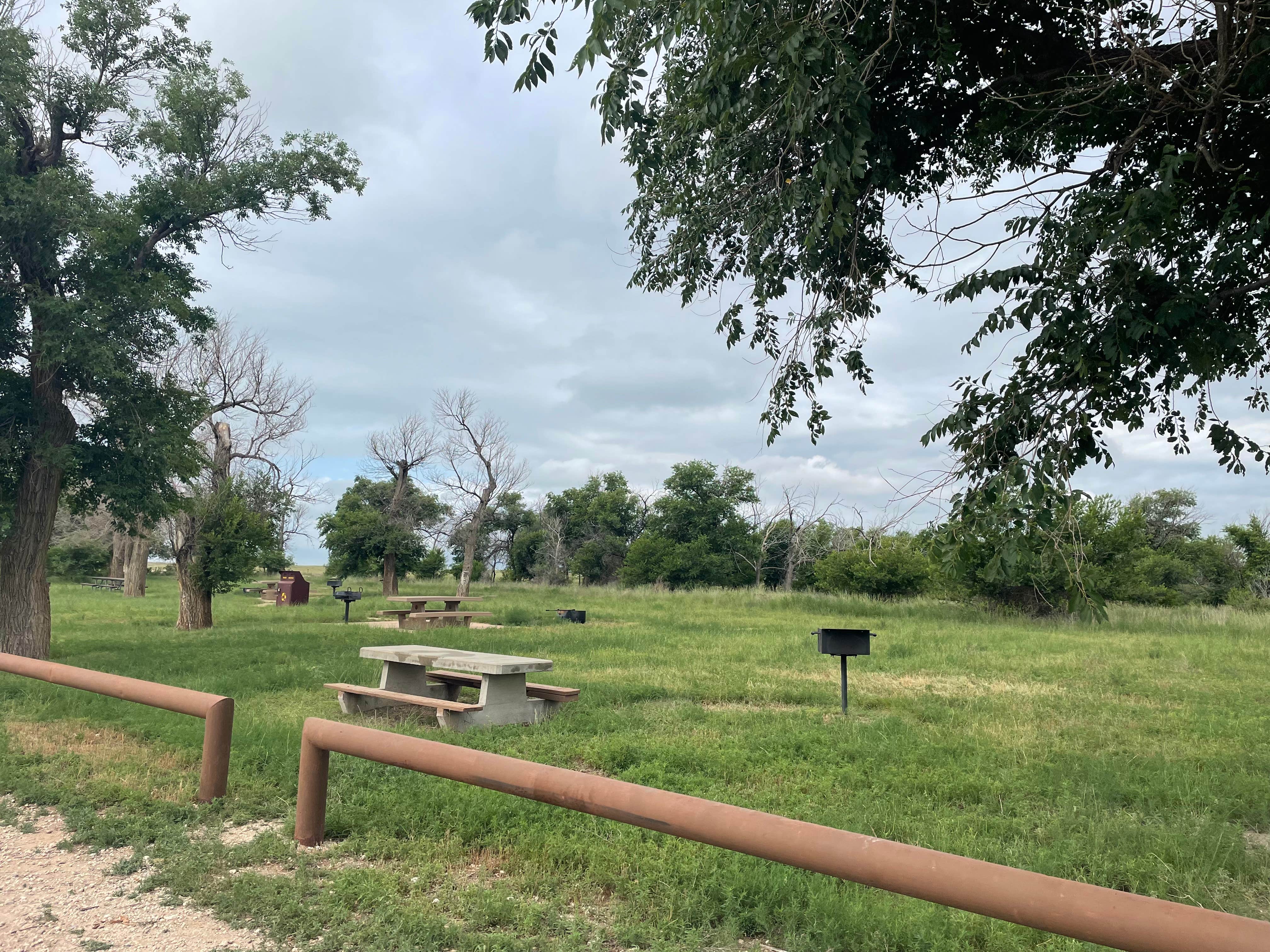 Camper-submitted photo at Thompson Grove Boondocking near Boise City, OK