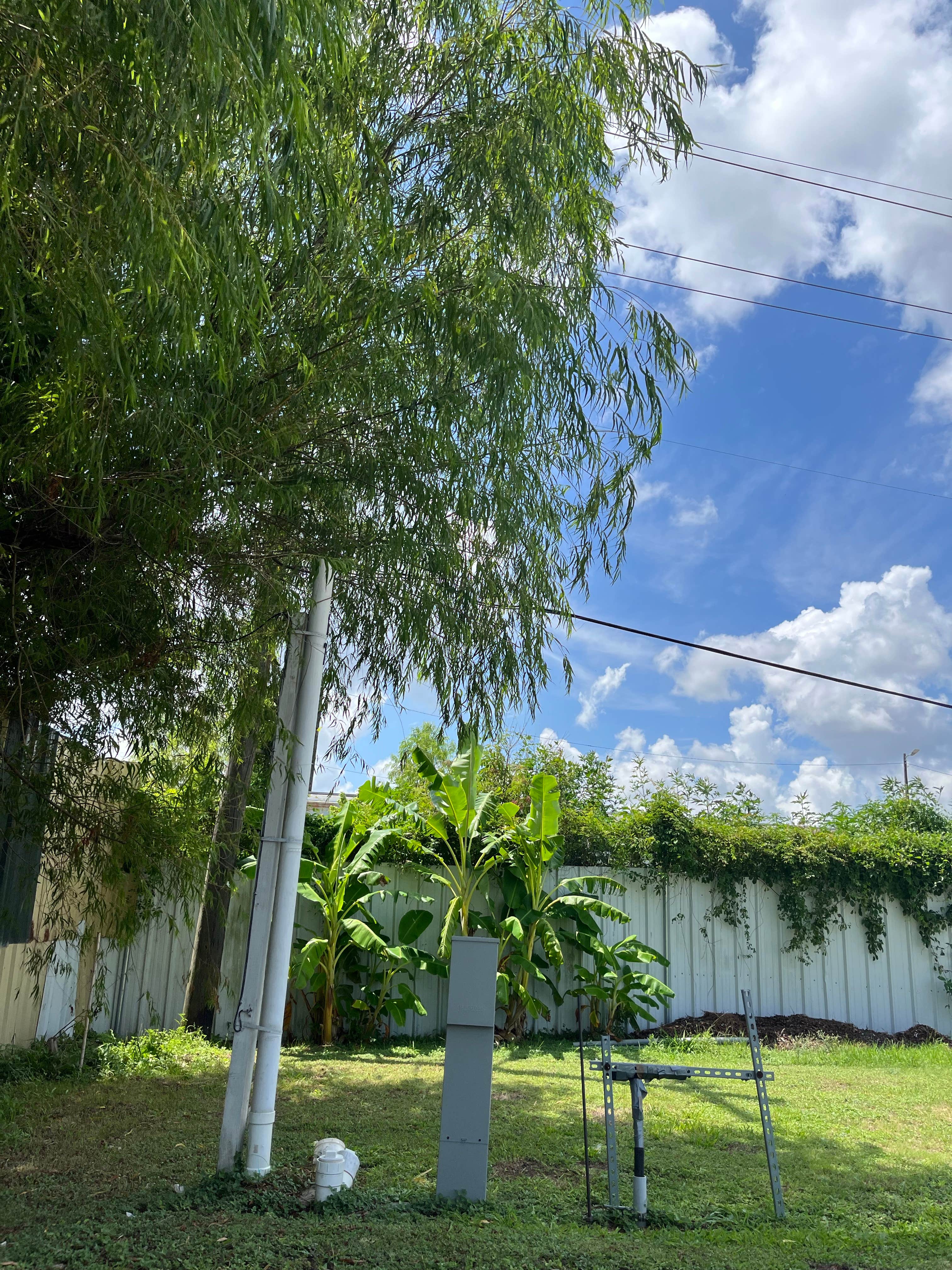 Camper-submitted photo at Three Oaks & A Pine RV Park near Avondale, LA