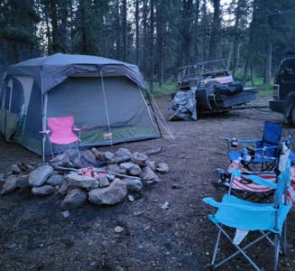 Camper-submitted photo from Grassy Lake Rd — John D. Rockefeller, Jr., Memorial Parkway