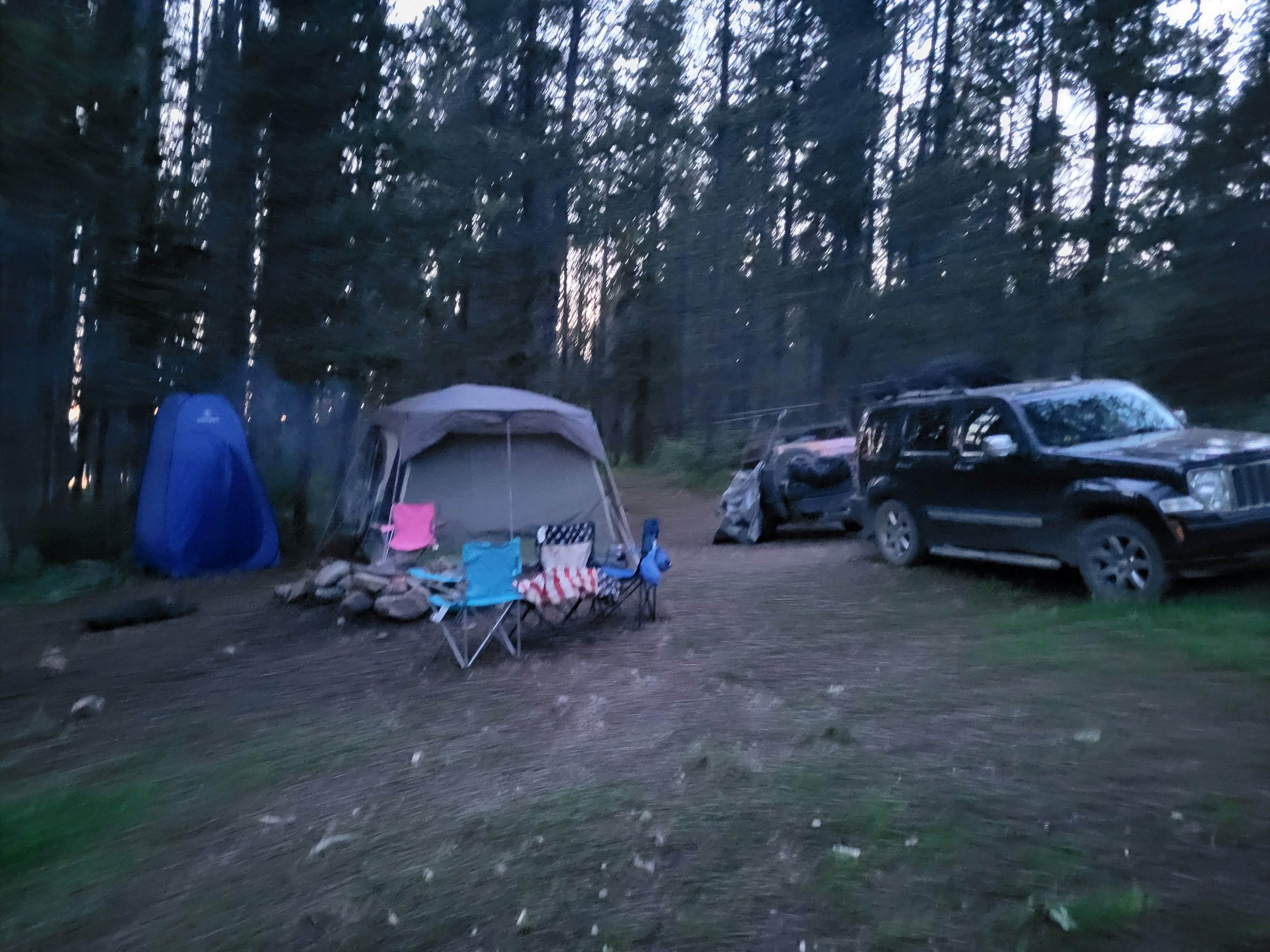 Camper-submitted photo at Grassy Lake Rd — John D. Rockefeller, Jr., Memorial Parkway near Yellowstone National Park