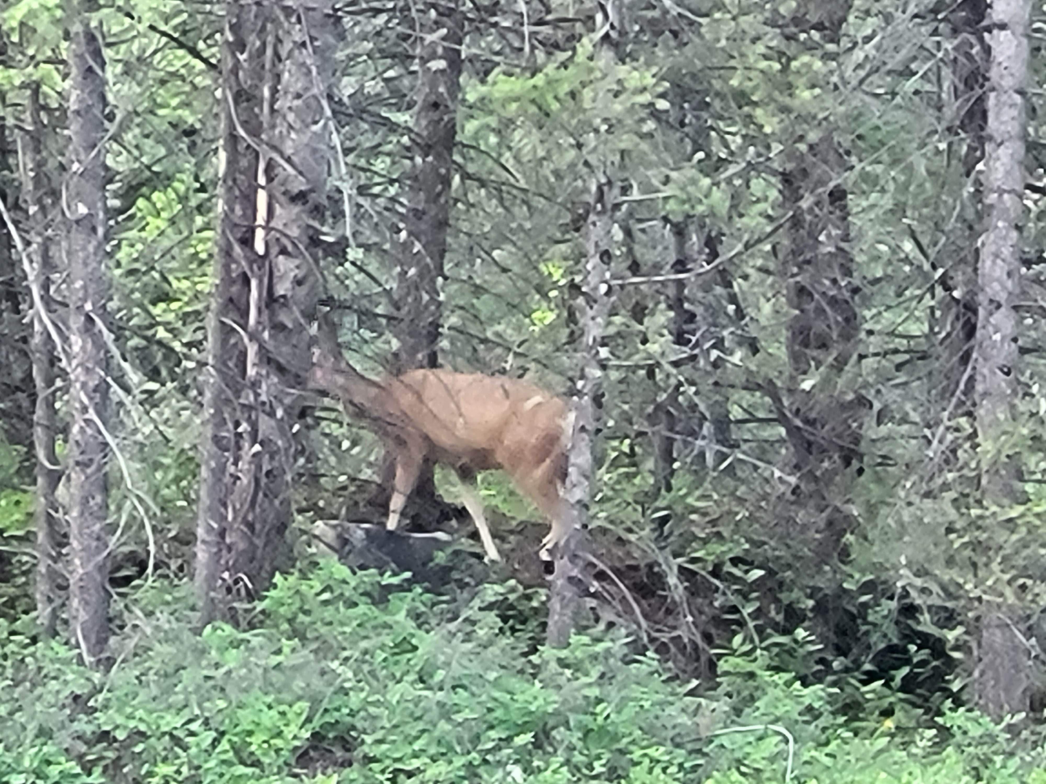 Camper submitted image from Spillway - 3