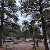 Review photo of Flagstaff KOA by Ashley C., October 23, 2018