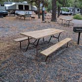Review photo of Flagstaff KOA by Ashley C., October 23, 2018