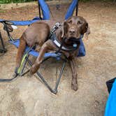 Review photo of Jessie M. Honeyman Memorial State Park Campground by Kyle , July 15, 2023