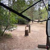 Review photo of Jessie M. Honeyman Memorial State Park Campground by Kyle , July 15, 2023