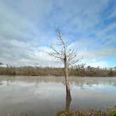 Review photo of White Oak Parish Park Campground by Chris D., July 15, 2023