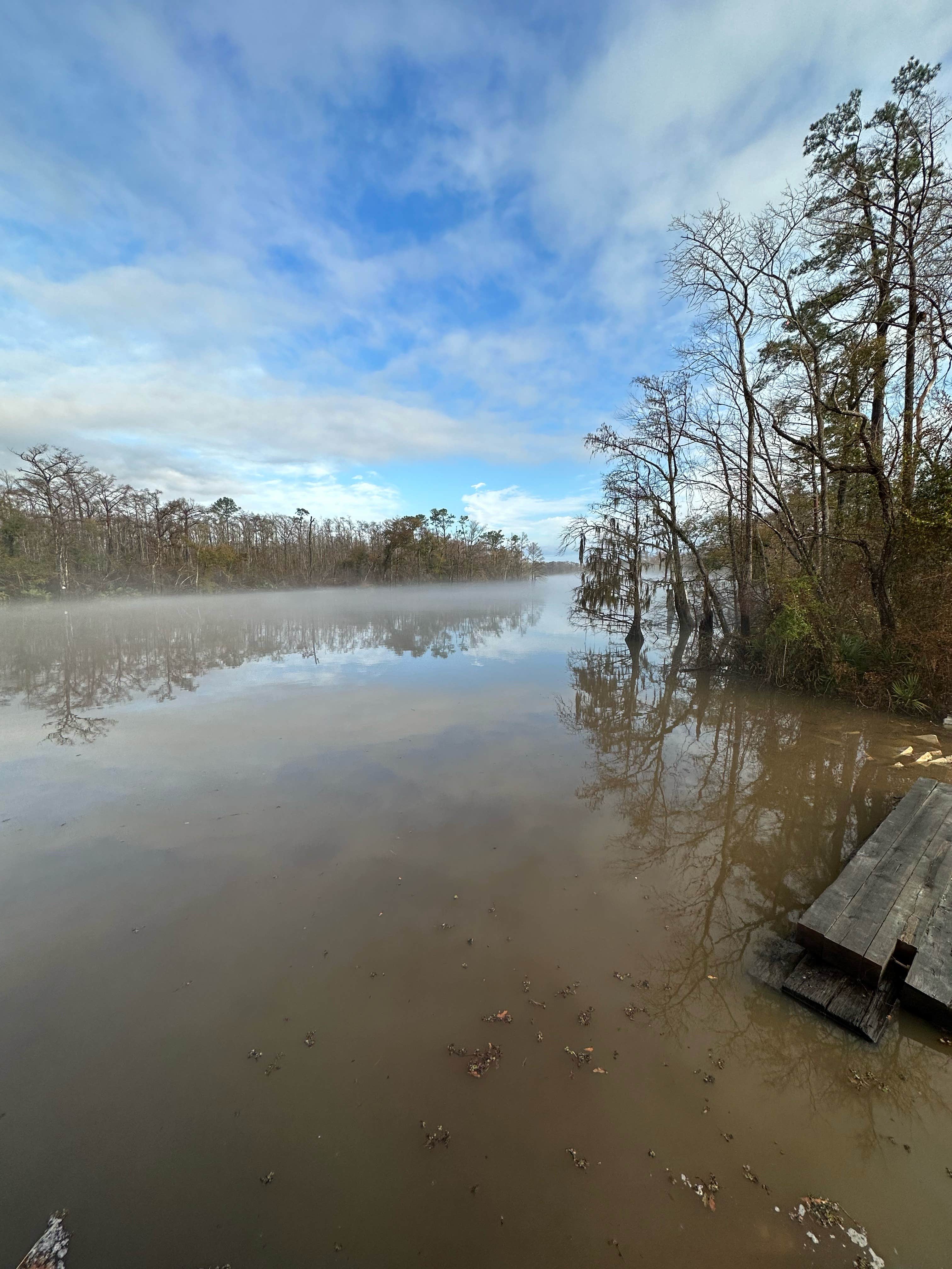 Camper submitted image from White Oak Parish Park Campground - 5