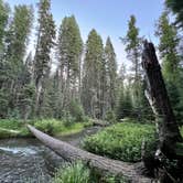 Review photo of Annie Creek Sno-Park by Pheejay D., July 15, 2023