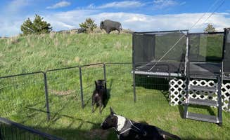Ron M.'s photo of camping with pets at Elkhorn Ridge RV Resort & Cabins near Beulah, WY