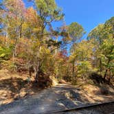 Review photo of Big Hill Pond State Park Campground by Chris D., July 15, 2023