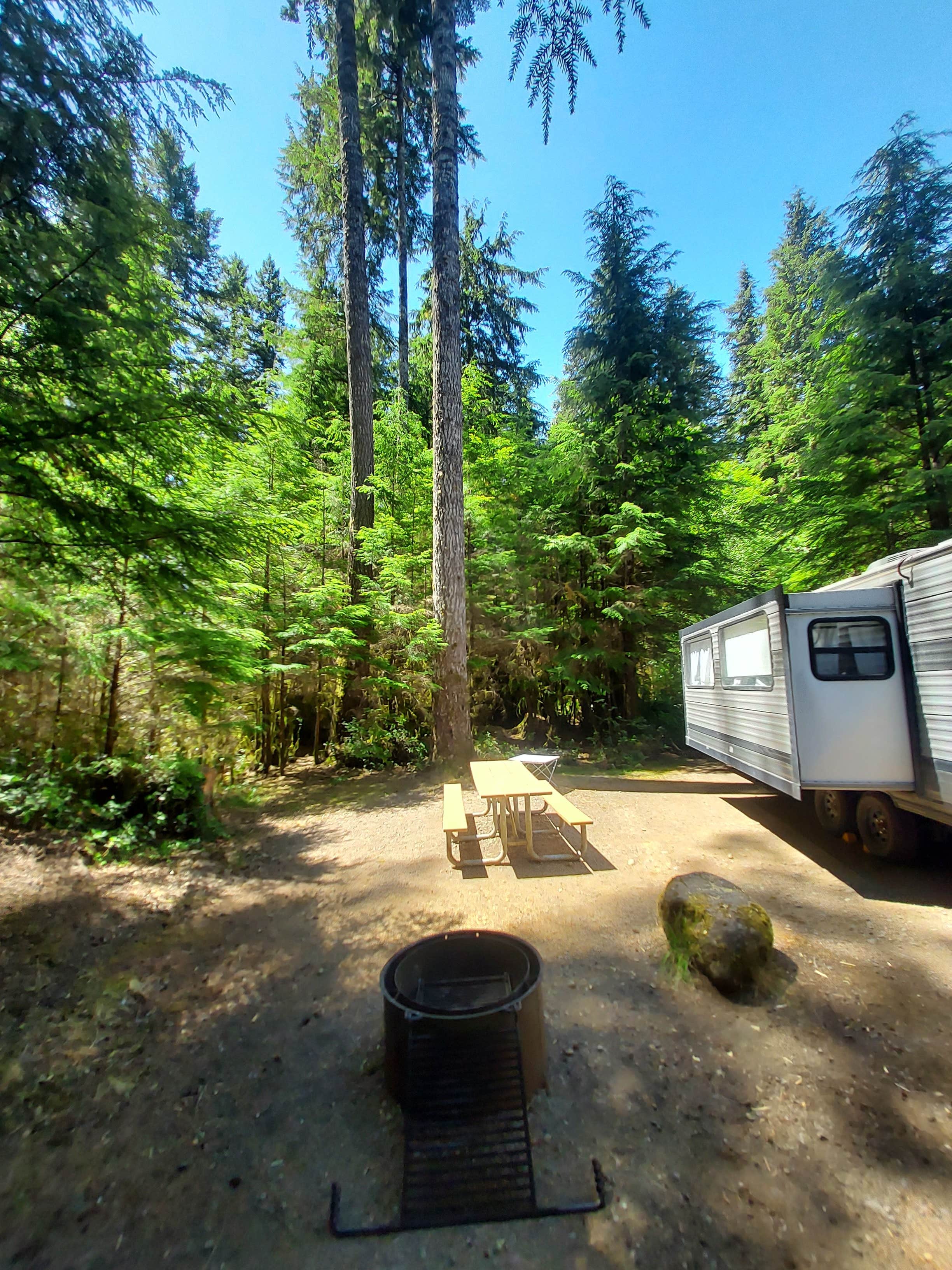 Camper-submitted photo at Bear Creek - State Forest near Beaver, WA