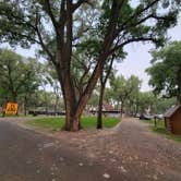 Review photo of Miles City KOA by Nadiya S., July 15, 2023