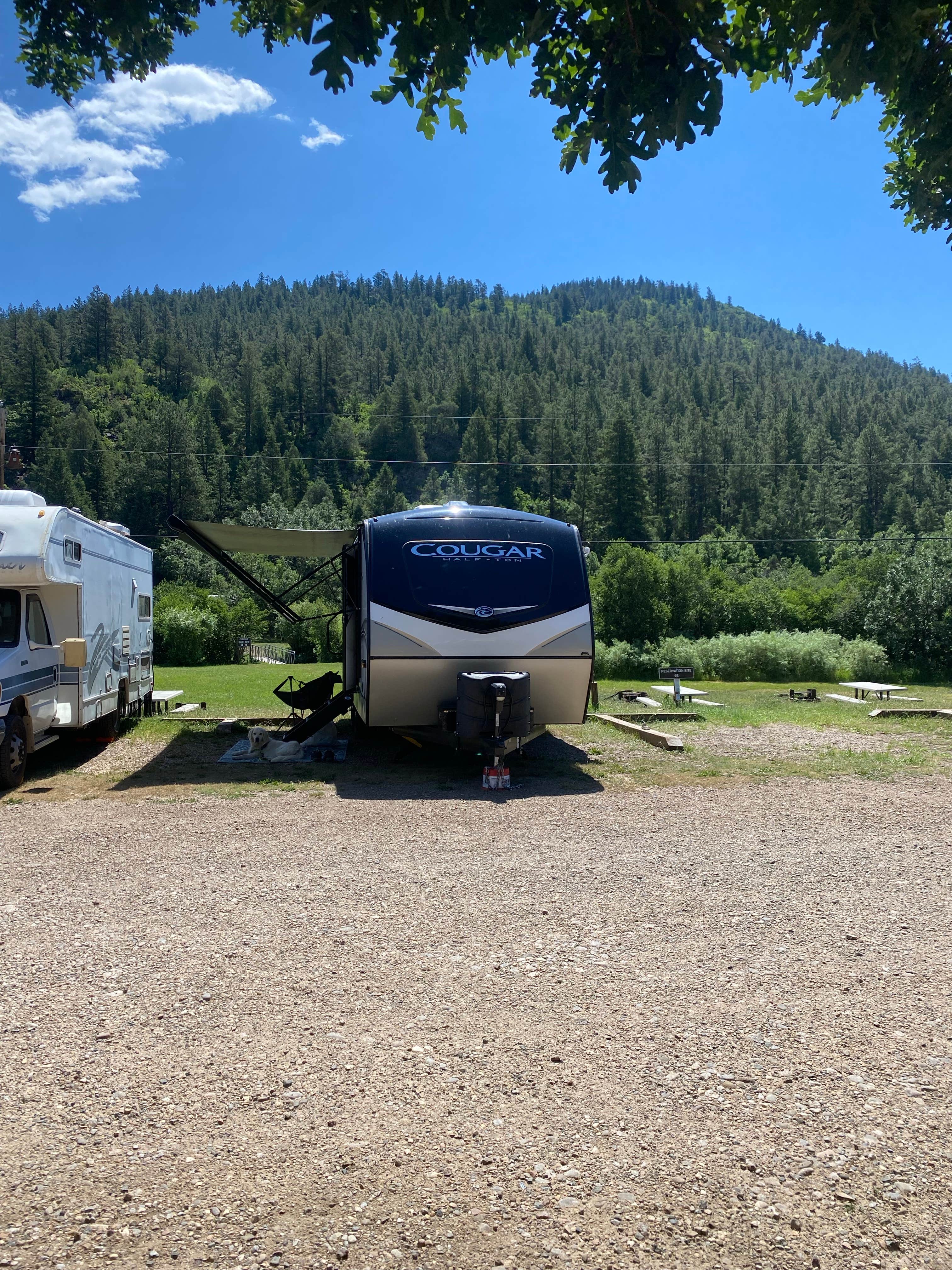 Tammy C.'s photo of camping with pets at Coyote Creek State Park Campground near Wagon Mound, NM