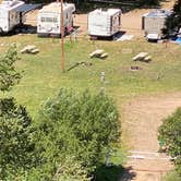 Review photo of Coyote Creek State Park Campground by Tammy C., July 15, 2023