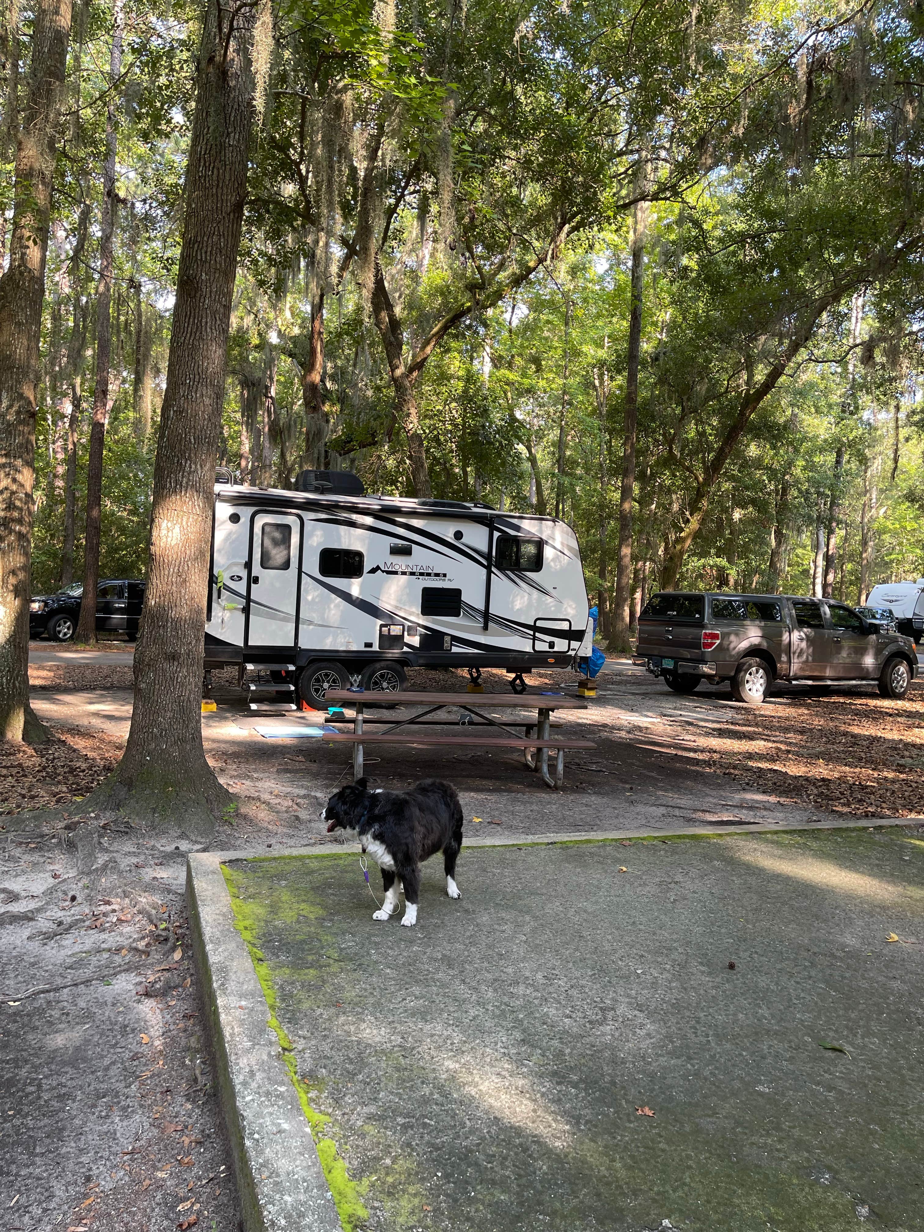 Dallas W.'s photo of camping with pets at Skidaway Island State Park Campground near Savannah, GA