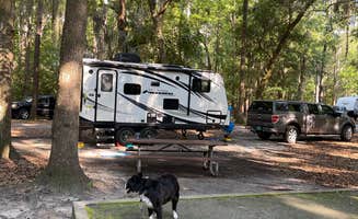 Dallas W.'s photo of camping with pets at Skidaway Island State Park Campground near Bluffton, SC